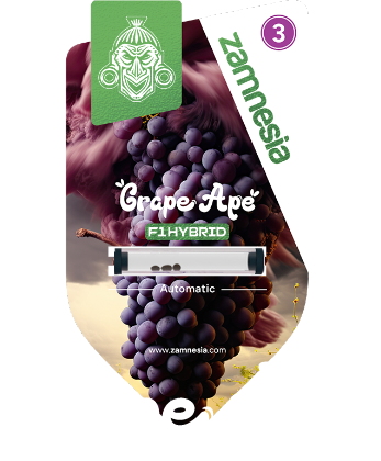 Grape_Ape