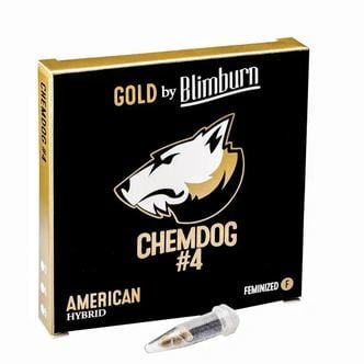 Chemdog 4 (Blimburn Seeds) femminizzata