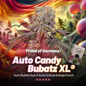 Auto Candy Bubatz XL (Dutch Passion) femminizzata