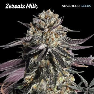 Zerealz Milk (Advanced Seeds) femminizzata