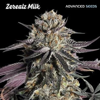 Zerealz Milk (Advanced Seeds) femminizzata