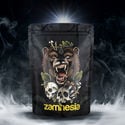 Treasure Pack TRIBE "Roaring Bear"