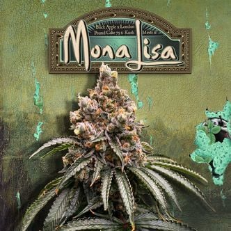 Mona Lisa (T.H.Seeds™) femminizzata