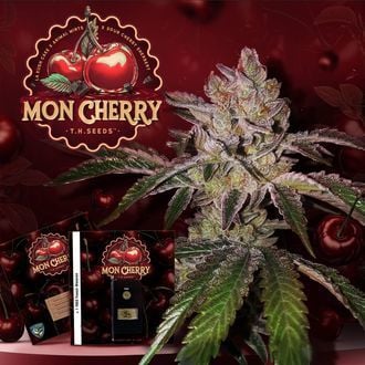 Mon Cherry (T.H.Seeds™) femminizzata