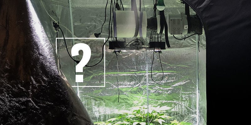Perché Usare Un Filtro Ai Carboni Attivi Nelle Coltivazioni Di Cannabis?