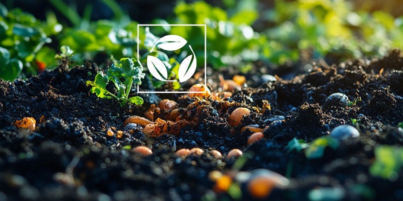 Cos’È Il Recycled Organic Living Soil?