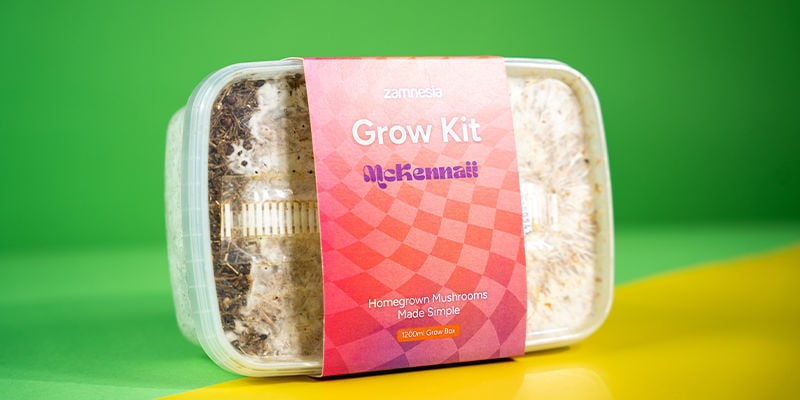 Kit Di Coltivazione Fresh Mushrooms “McKennaii”