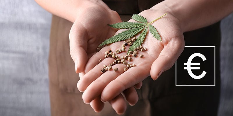 Quanto Costano I Semi Di Cannabis?