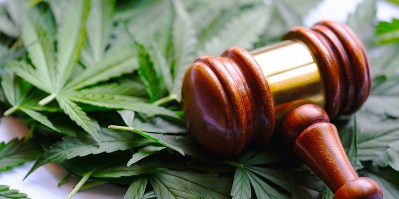 Quando Verrà Legalizzata La Cannabis?