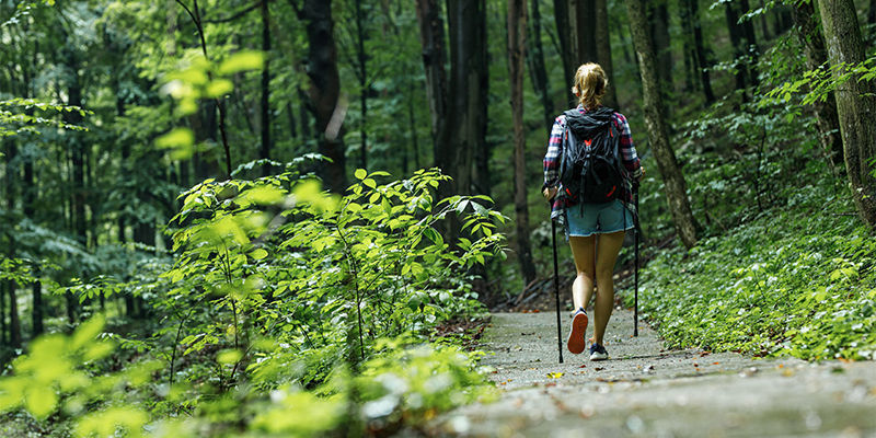 Passeggiare In Mezzo Alla Natura