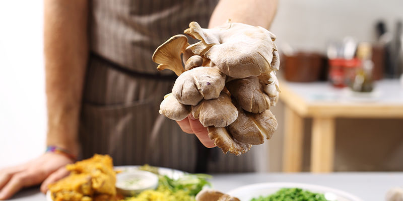 L'Industria Dei Fiori Diventa Green: Quale Sarà Il Ruolo Dei Funghi In Questa Trasformazione?