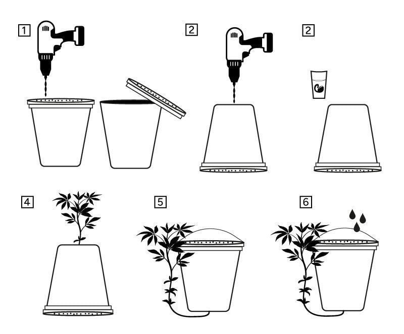 Come Coltivare La Cannabis Sottosopra