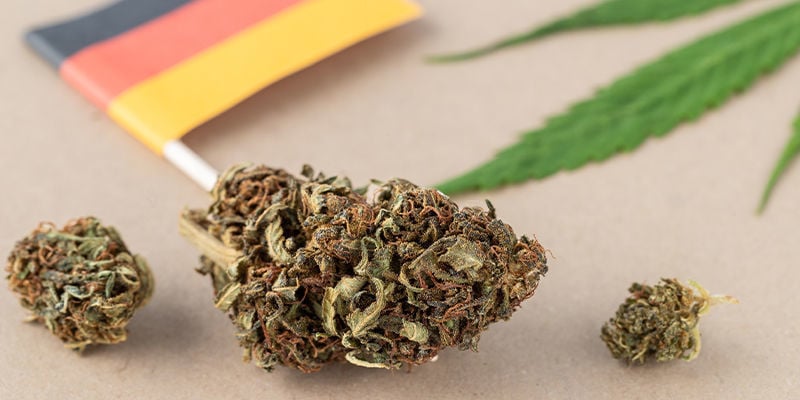 Qual È Lo Stato Attuale Delle Leggi Sulla Cannabis In Germania?