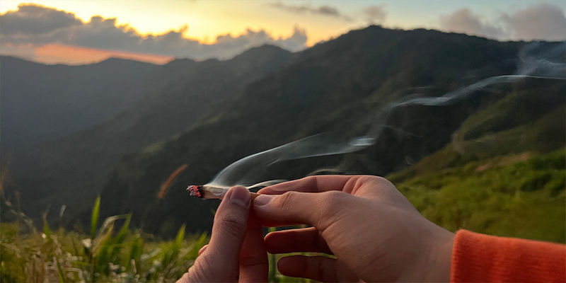 Turismo educativo della cannabis