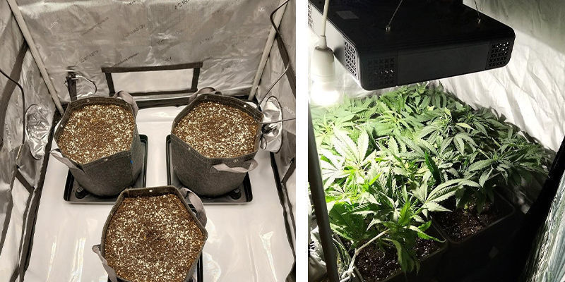 Grow box consigliati