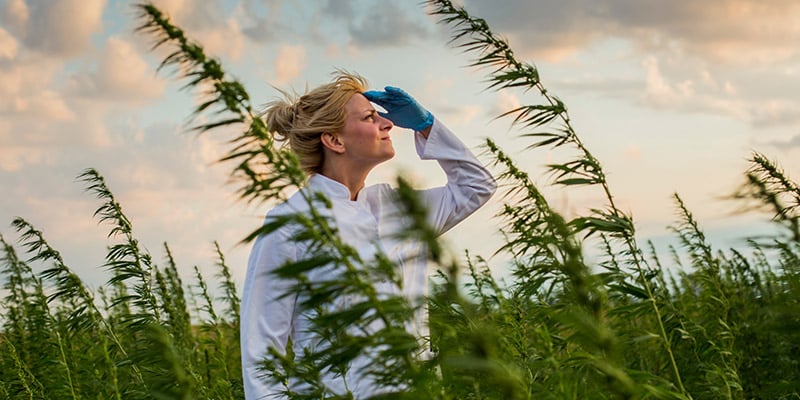 Difficoltà E Strategie Di Adattamento Per Il Croptober