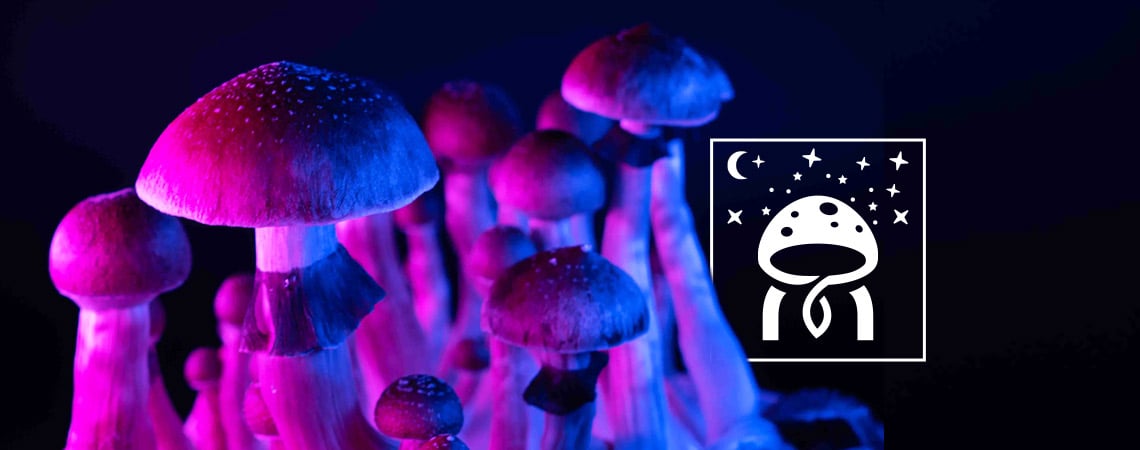 Miti Sui Funghi Allucinogeni: Sfatiamo I Luoghi Comuni