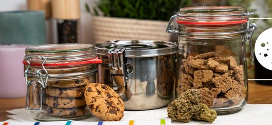 Come Conservare Gli Edibili Alla Cannabis