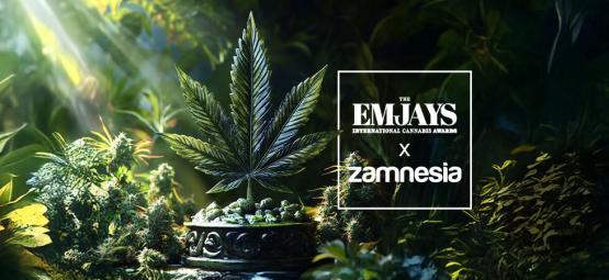 The Emjays - International Cannabis Awards - Zamnesia Vince Alla Grande