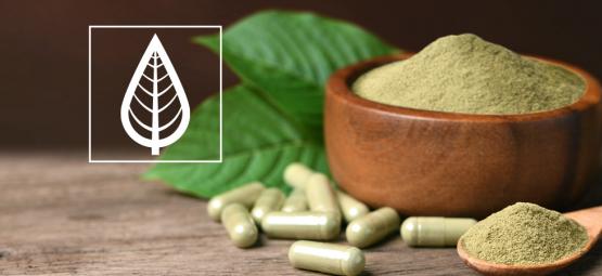 Qual è la differenza tra le varietà di kratom?